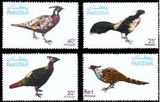 Wildlife Pheasants