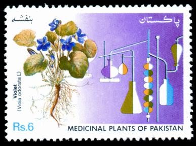 Medicinal Plants of Pakistan