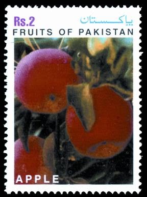 Fruits of Pakistan Series - Apple