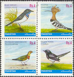 Wildlife Series Depicting Birds