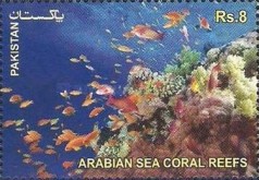 Wetlands of Pakistan - The Arabian Sea Coral Reefs 