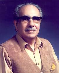 Jamil ud Din Aali