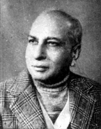 Raza Hamdani